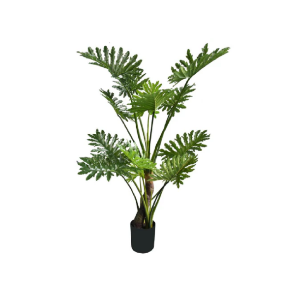 Filodendro 145CM