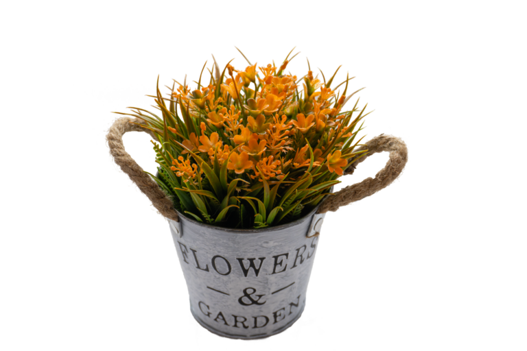 Planta grass con flor gypsophila naranja
