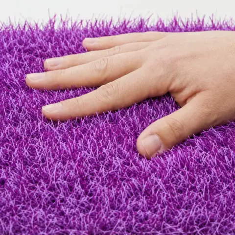 RAINBOW - MORADO – 3