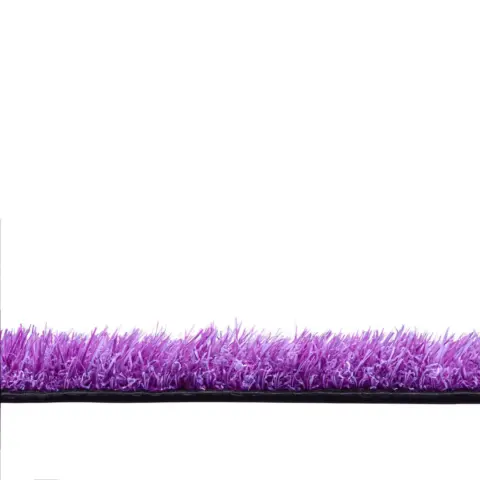 RAINBOW - MORADO – 4