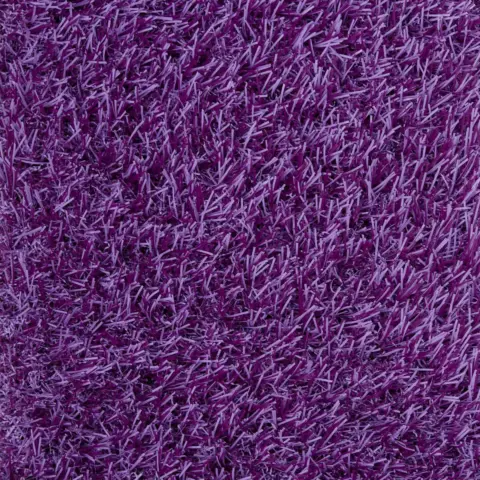 RAINBOW - MORADO – 5