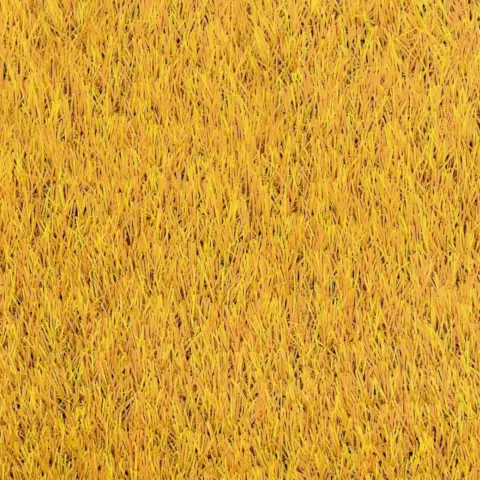 RAINBOW_amarillo naranja – 5