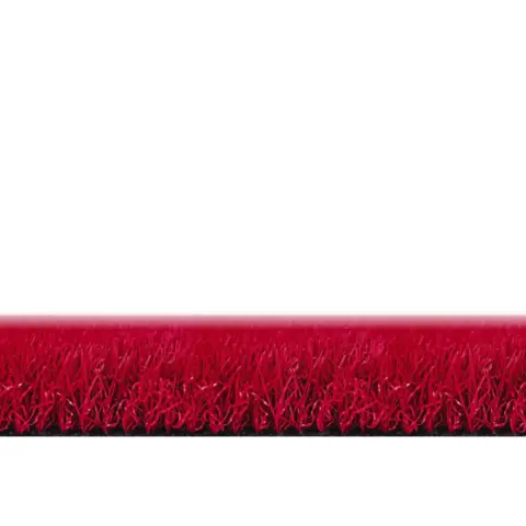RAINBOW_rojo granate – 4